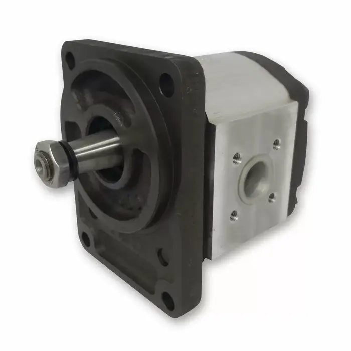 Ronzio 02Z Gear Pump - German Taper available at FPD