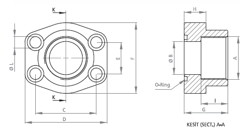 Port Adaptor SAE Pipe Threaded Flange Mounting with O-Ring